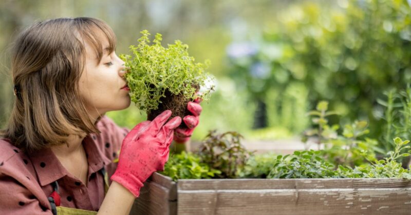 6 דרכים לשדרג את הגינה בקלות!
